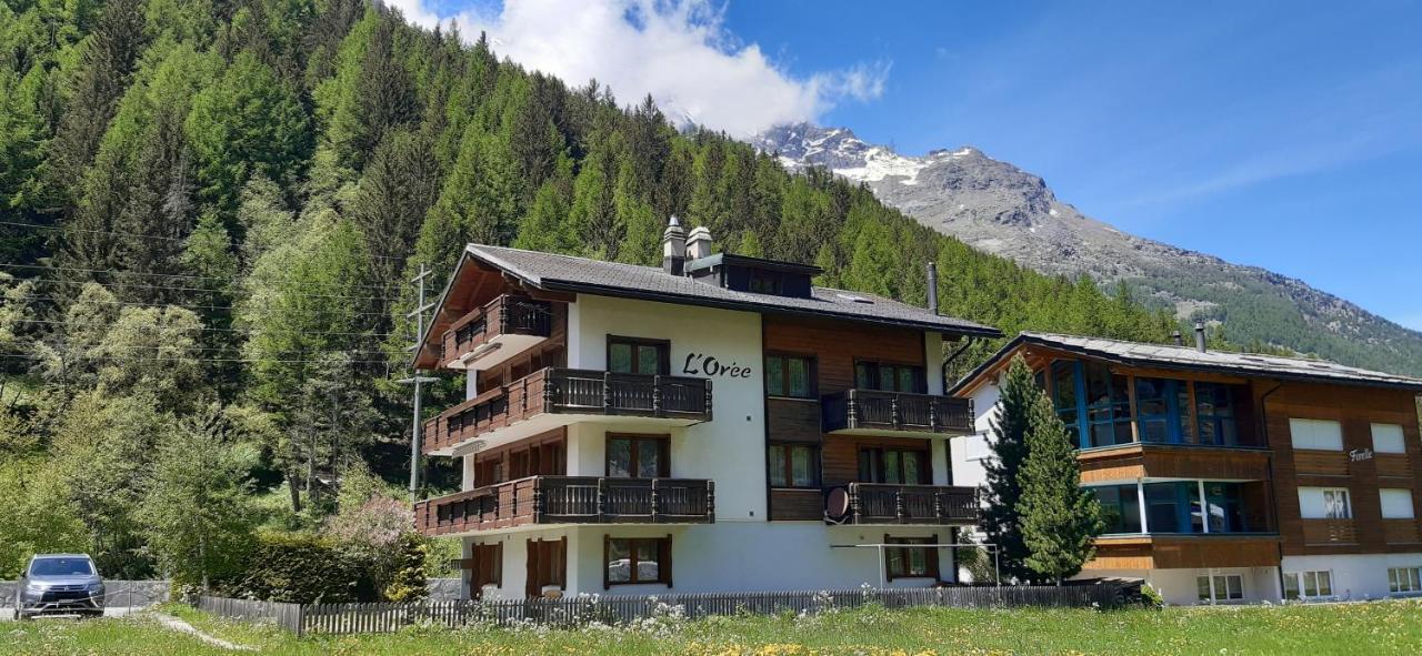 Free Cable Car & Bus In The Summer Haus L'Oree Saas-Grund Buitenkant foto